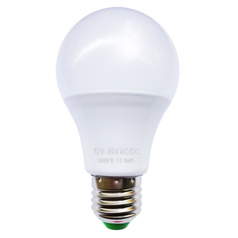 Ampoule LED bulbe E27, 12W 12V-24V AC/DC, blanc chaud 3500°K